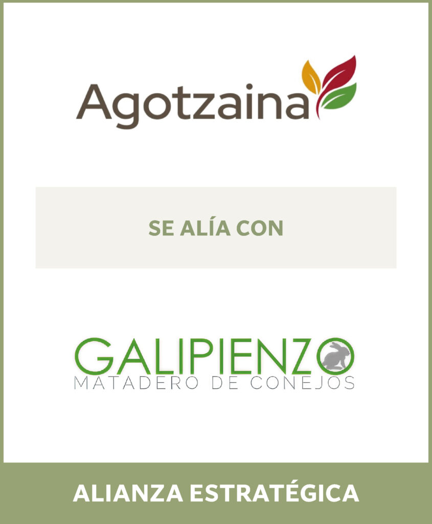 Transacción completada, mediante la cual Agotzaina se alía con Galipienzo a través de una alianza estratégica, con TAE Europa como intermediario.